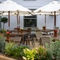 Some tables in the beer garden of the Grapes.