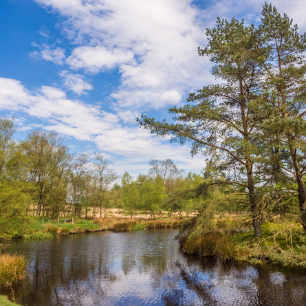 An image of Beacon Fell Country Park advertising local attractions near to Chef & Brewer venues.
