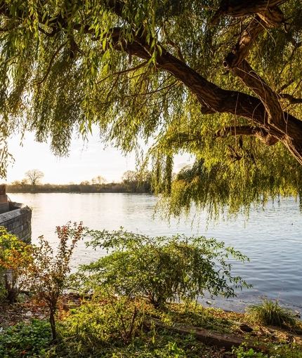 The exterior beer garden seating area waterside view at The Crabtree.