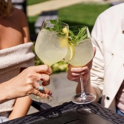 The hands of two people, holding a stemmed glass cocktail in a cheers motion.