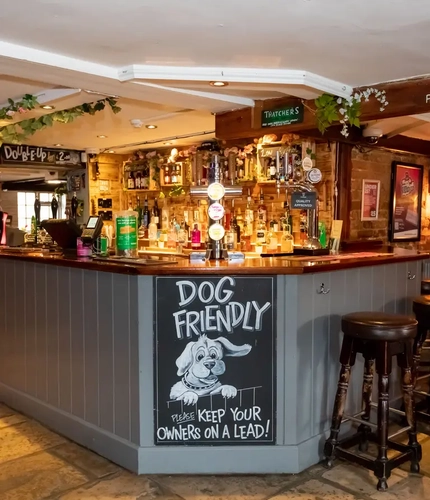 interior bar