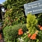 Some signs in bushes outside of The Bear Inn.