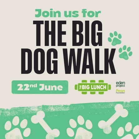 A webpage banner promoting the 'Big Dog Walk' as part of the 'Big Lunch' at Flaming Grill venues.
