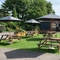 6768 Carousel (Reddish) - FG - BEER GARDEN - HEADER.jpg