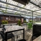 exterior beer garden