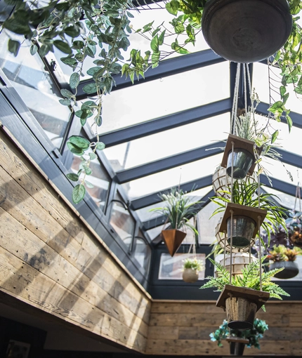 An image showing the ceiling hanging plants and decorative lighting at The Bushel.