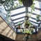 An image showing the ceiling hanging plants and decorative lighting at The Bushel.