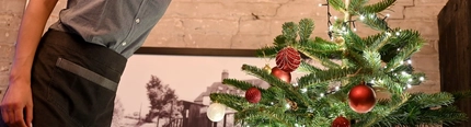 DB_C&B_People_Lifestyle_ChristmasTree_2023_1.jpg
