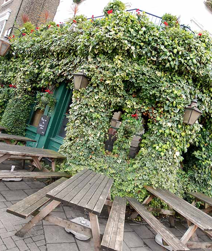 Metro - Hemingford Arms (Islington) - The beer garden at The Hemingford Arms