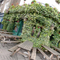 Metro - Hemingford Arms (Islington) - The beer garden at The Hemingford Arms