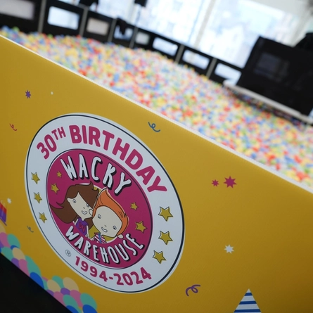 a shot of a ball pit at the 30th birthday event of Wacky Warehouse