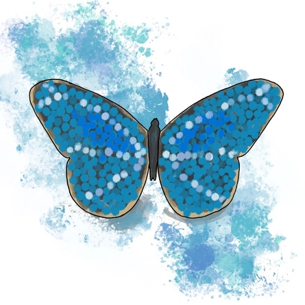 Illustration of Butterfly Farm for the Bell in Shottery, Multipurpose banner for Mobile