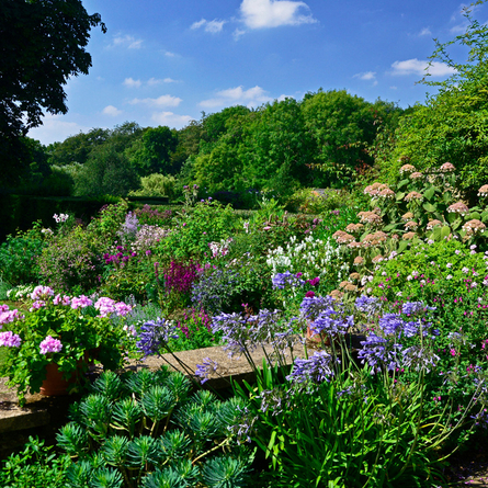 An image of Coton Manor Gardens advertising local attractions near to Chef & Brewer venues.