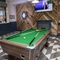 Interior Pool Table