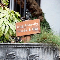 A dog friendly sign at the Dirty Duck.