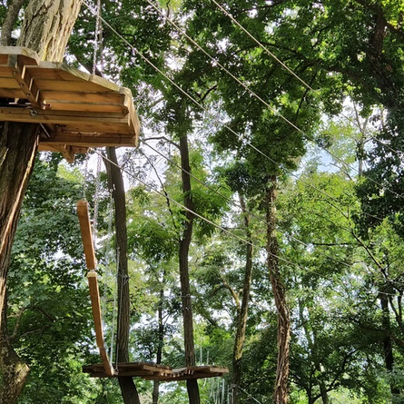 An image of Go Ape advertising local attractions near to Chef & Brewer venues.