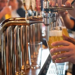 Metro - Fox & Finch (Godalming) - Bartender pouring a pint