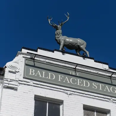 Metro - Bald Face Stag (East Finchley) - Stag