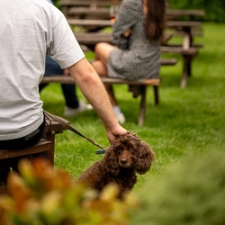 GK_People_Lifestyle_Dog-Friendly-Summer-Drinks_2024_010.jpg