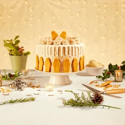 Christmas_DB_FHI_Product-Advertising_Gingerbread-Cake_2024_001.jpg