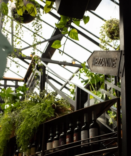An image of the view looking up from the interior bar featuring hanging plants and lighting with area signage at The Ubiquitous Chip.