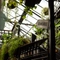An image of the view looking up from the interior bar featuring hanging plants and lighting with area signage at The Ubiquitous Chip.