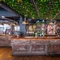 7199_Chameleon_Greencoat_Boy-001-HDR.jpg