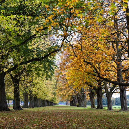An image of Witton Country Park advertising local attractions near to Chef & Brewer venues.