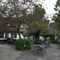 The beer garden of The Feathers.