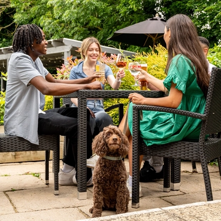 GK_People_Lifestyle_Dog-Friendly-Summer-Drinks_2024_003.jpg