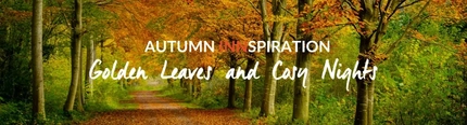 An Autumn Blog Header Image Banner for Greene King Inns.