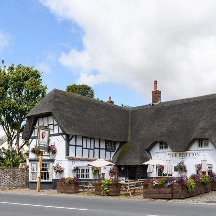 7928_DB_C&B_RedLion_Avebury_Pub_2023_61.JPG