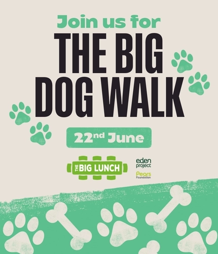 A webpage banner promoting the 'Big Dog Walk' as part of the 'Big Lunch' at Flaming Grill venues.