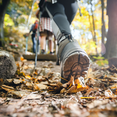 An image of a person walking at Wildfit advertising local attractions near to Chef & Brewer venues.