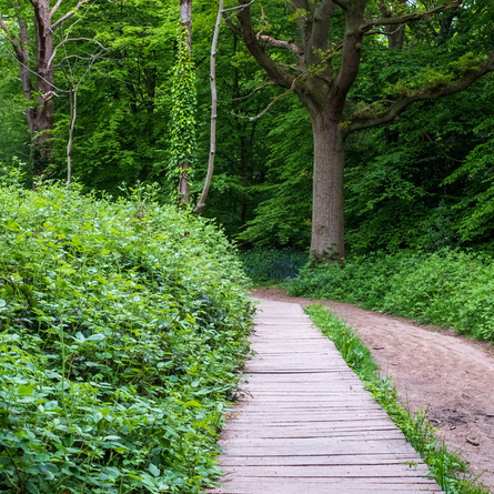 An image of the Hillingdon Trail advertising local attractions near to Chef & Brewer venues.