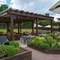 The beer garden at the Mare & Colt.