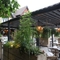 Exterior undercover beer garden with planters and lit hanging lamps