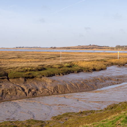 An image of Wyre Estuary Country Park advertising local attractions near to Chef & Brewer venues.