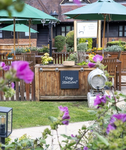 Exterior beer garden with a dog station