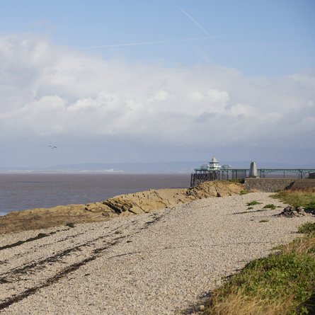 An image of a rocky beach with a pier in the distance.