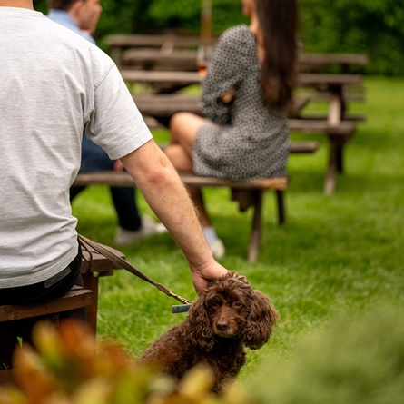 GK_People_Lifestyle_Dog-Friendly-Summer-Drinks_2024_010.jpg