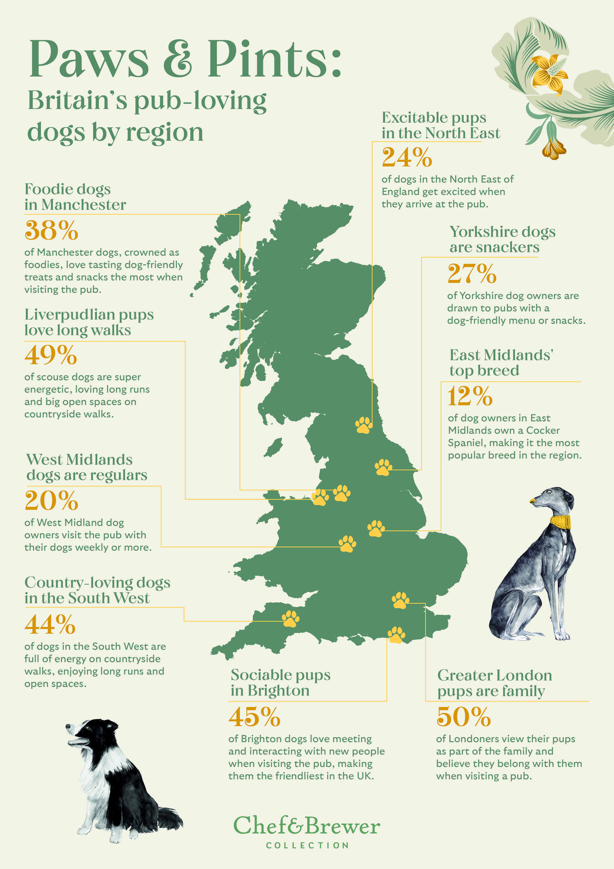 A Paw & Pints info graphic map for Chef & Brewer venues.