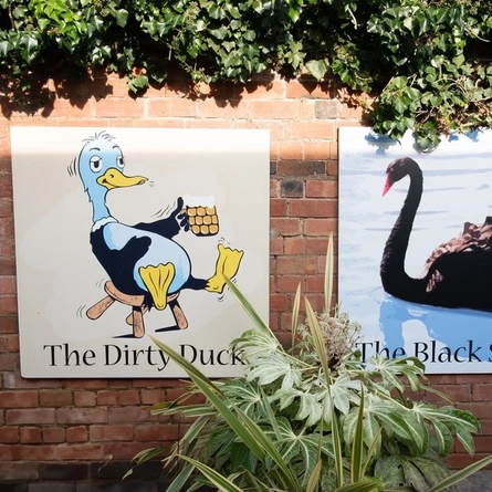 2 duck signs for the 'Dirty Duck' and the 'Black Swan.'