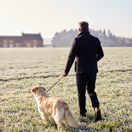 A man walking a dog in a field in winter.