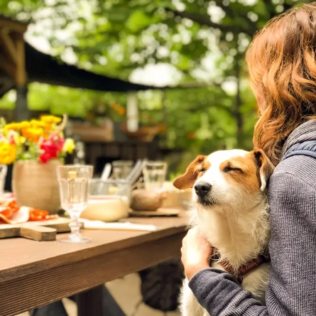 A dog in a beer garden