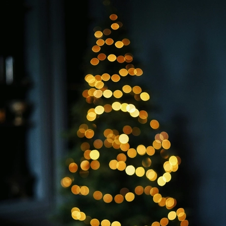 Christmas_5308_P&V_EV_White-Horses_Rottingdean_Venue_Xmas-Tree-Presents_2024.jpg