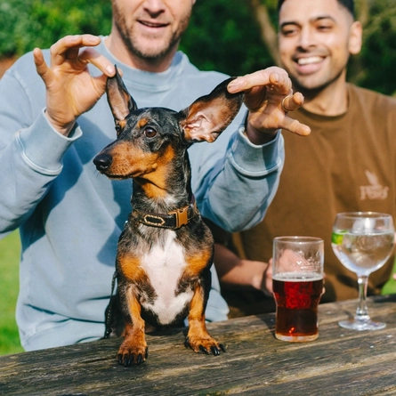 A lifestyle image of customers enjoying drinks within the beer garden with their dog at a Greene King Pub.
