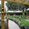 The beer garden of The Red Lion.