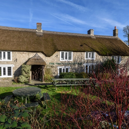 The exterior and beer garden of the Thatched Cottage.
