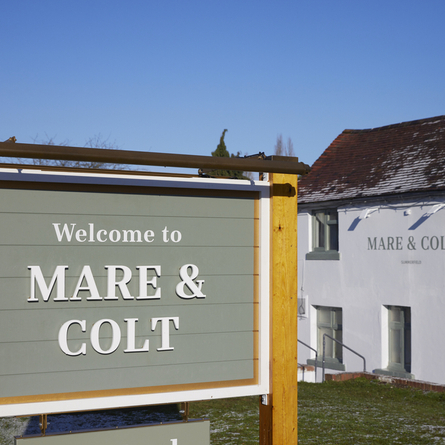 6211_DB_C&B_Mare&Colt_Summerfield_Pub_2022_2.jpg
